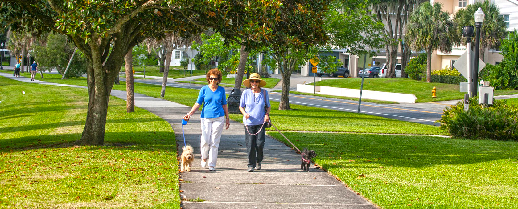 Two women walking their dogs