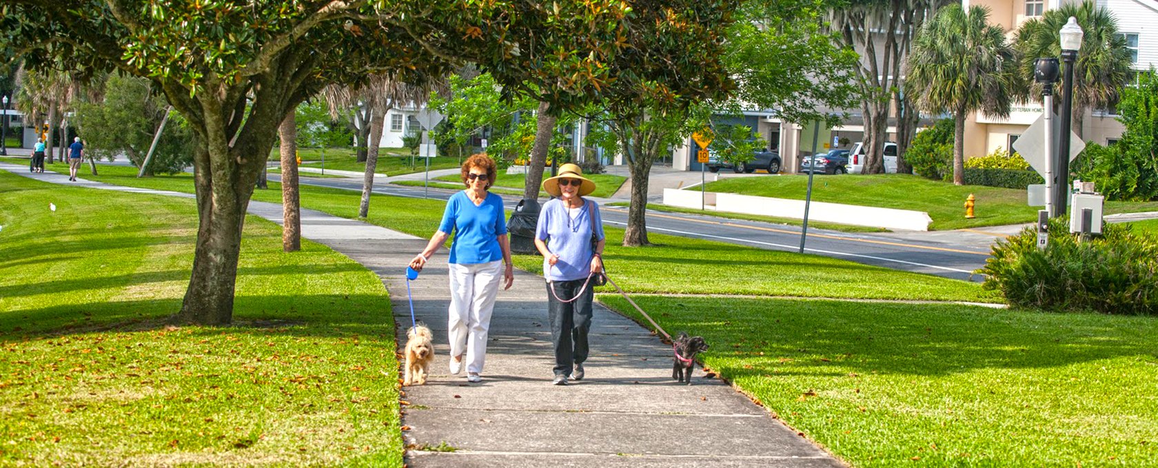 Residents walking dogs